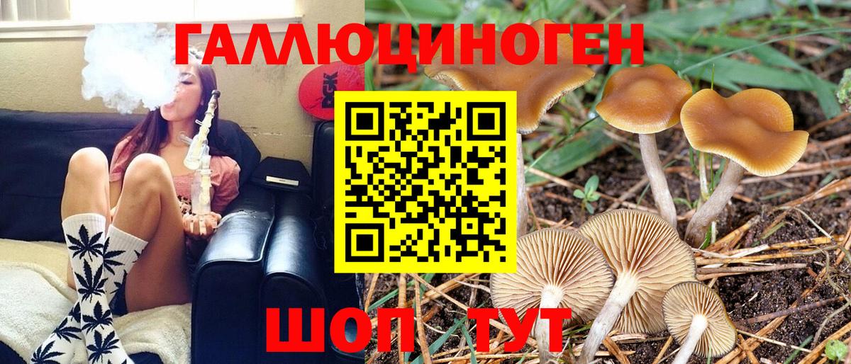 где купить наркотик  Вход с VPN  Кувандык  Галлюциногенные грибы Cubensis  Псилоцибиновые грибы MAGIC MUSHROOMS 