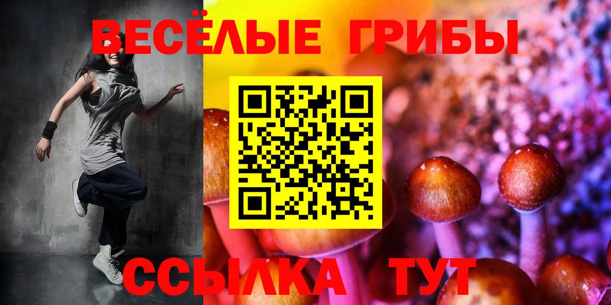 Псилоцибиновые грибы Psilocybe Кувандык